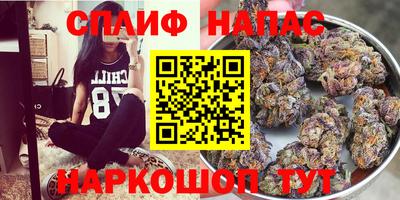 мдпв Краснознаменск