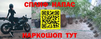 мдпв Краснознаменск