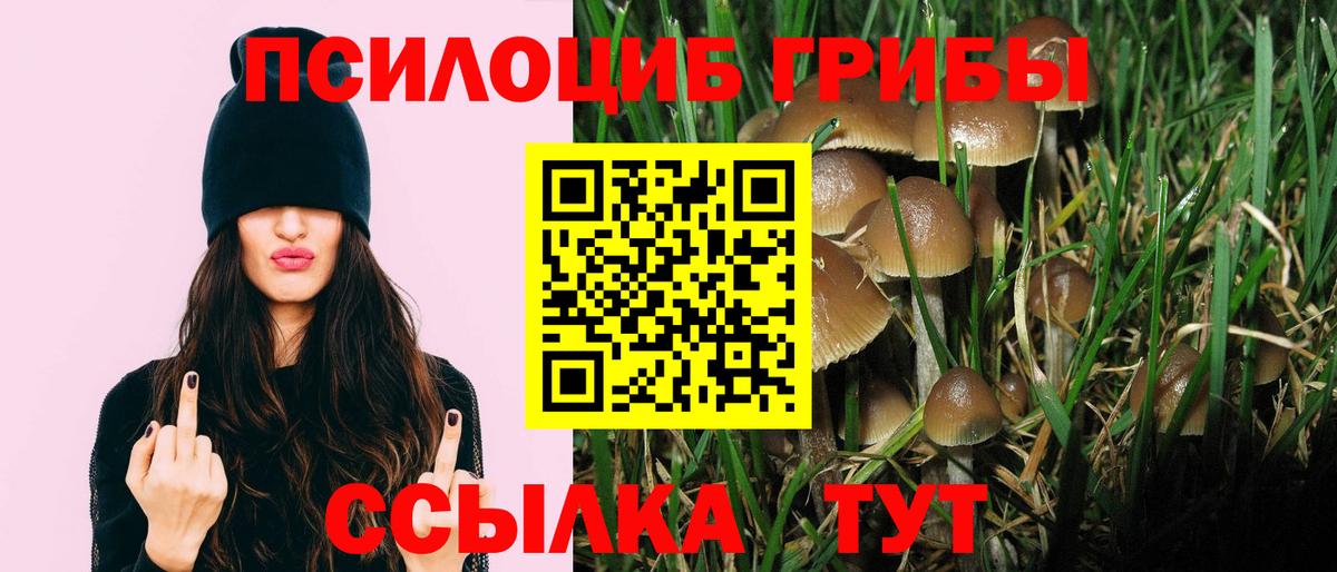 Дзержинский  Псилоцибиновые грибы Cubensis  Псилоцибиновые грибы мухоморы  Вход с VPN 