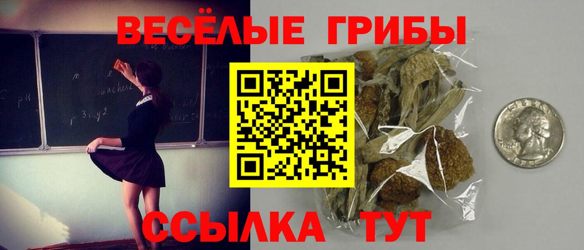 Галлюциногенные грибы Magic Shrooms Дзержинский